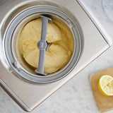 Ice Cream & Gelato Professional