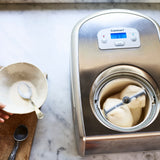 Ice Cream & Gelato Professional
